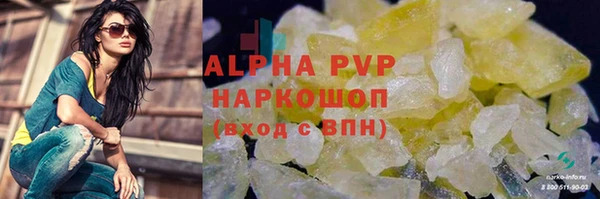 стаф Алексин