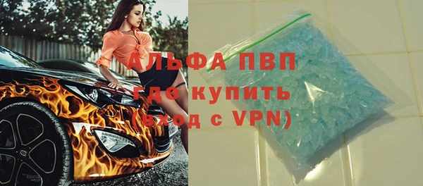 стаф Алексин