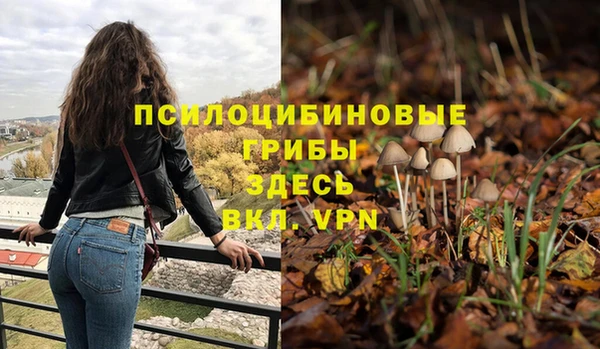 стаф Алексин